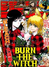 Burn The Witch
