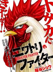 Rooster Fighter