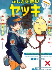 Fushigi na Tori no Yakki