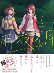 The Moon on a Rainy Night