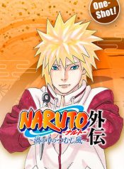 Naruto The Whorl within the Spiral