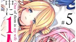 Kono Naka ni Hitori, Ore no Yome ga Iru