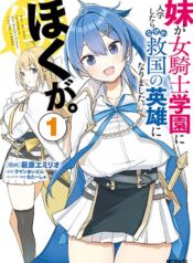 Imouto ga Onna Kishi Gakuen ni Nyuugaku Shitara Naze ka Kyuukoku no Eiyuu ni narimashita. Boku ga.